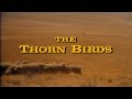 Henry Mancini - "The Thorn Birds" Theme (가시나무 새) ...♪aaa (Instrumental) (HD)  [Keumchi - 韓]