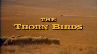 Henry Mancini - &quot;The Thorn Birds&quot; Theme (가시나무 새) ...♪aaa (Instrumental) (HD)  [Keumchi - 韓]