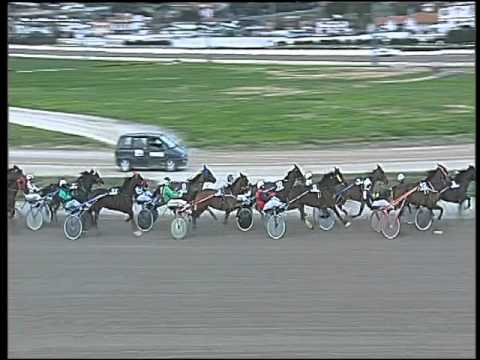 Trotto 14/01/2016 - 5° corsa