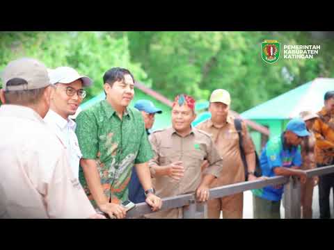 Albumin, Ekowisata dan Bursa Karbon