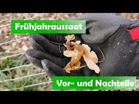 Von Hand aussäen - das muss schon einen guten Grund haben - oder zwei