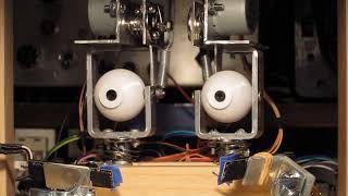 EyeRobot Eye Movement Demonstration
