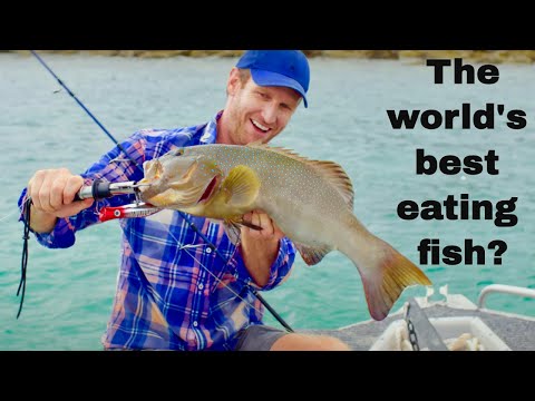 Cooking Coral Trout Nuggets on Paradise Islands | Fishing the Wild NT Ep.3