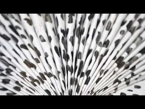 20 Jahre Kunst in der ÖBV