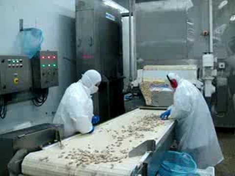 Freezer  Frigoscandia MX-32 2° Video