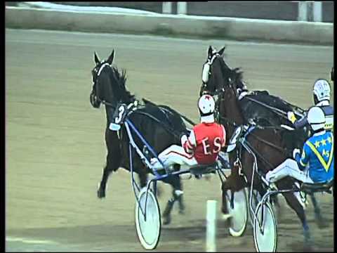 Trotto 17/12/2015 - 4° corsa