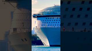 Symphony of the Seas 🛳️ #like #share #comment #subscribe #cruiseship #cruise #vacation #shorts #yt