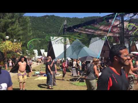 Noise Poison Festival 2015, Jasenie