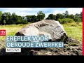 Na twee miljard jaar verhuist zwerfkei & Fiets4Daagse klaar voor de start en de regen | Drenthe Nu