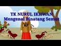 Tema Binatang MENGENAL BINATANG SEMUT