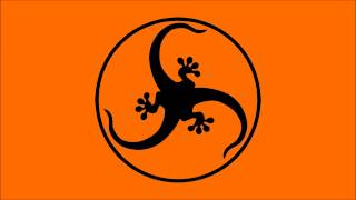 Banco de Gaia - Ynys Elen (Androcell Remix)