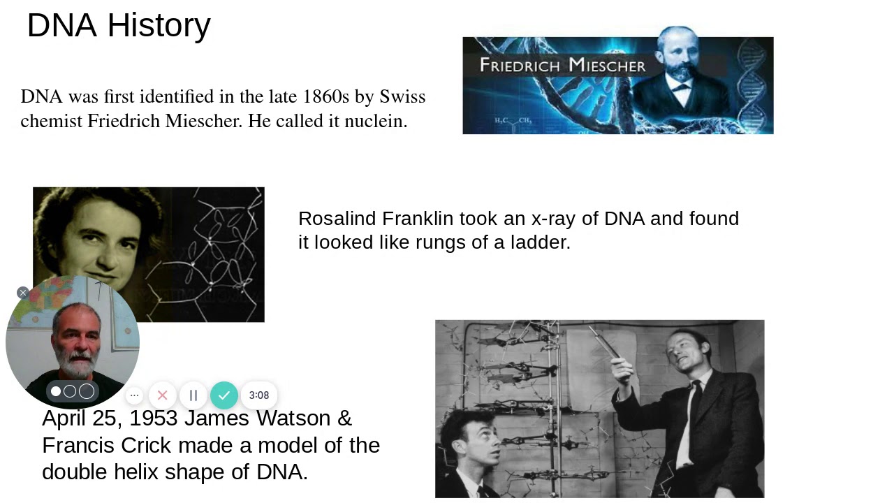 DNA Slide Deck   Google Slides