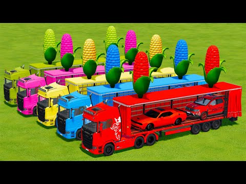 LOAD & TRANSPORT GIANT CORN, DACIA POLICE AND DODGE CARS WITH SCANIA TRUCKS - Farming Simulator 22