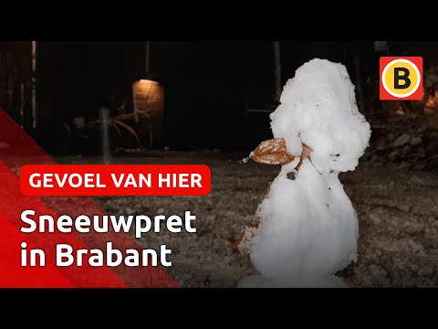 Eerste sneeuw gevallen in deel van Brabant ⛄ | Omroep Brabant