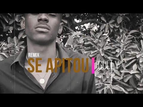 Gully-Se Apitou Remix(Lyric video)