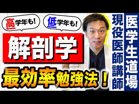 医学科 卒業するまでずっと役立つ「解剖学の正しい勉強法」ベスト３を、現役の医師講師が伝授します！(医学部,効率のいい勉強,勉強法,低学年,高学年,進級,基礎医学)