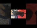 Sudipa Sudipa S Creation Shorts Reels Instagram Moj