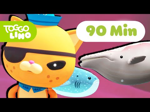 Die Oktonauten | Wal-Abenteuer | Ganze Folge Deutsch | Toggolino Serien