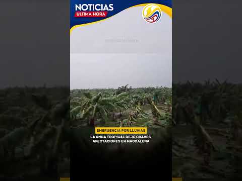LLUVIAS AFECTAN LA ZONA BANANERA.