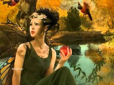 Shab ke Jage Hue Taaron ko  ALKA YAGNIK  with Urdu lyrics  Translation