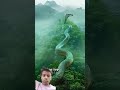 Https Youtube Com Shorts AVK6LupvGCk Si NbepzSszE4VgOWBG