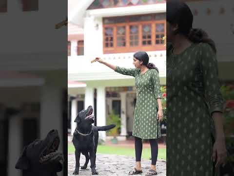 U M L FANS ZONE and UML Fans Zone 2.0