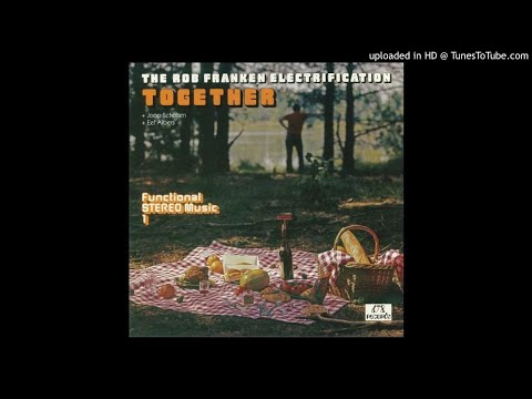 LYSERGICFUNK : Turtle Shake - Rob Franken Electrification