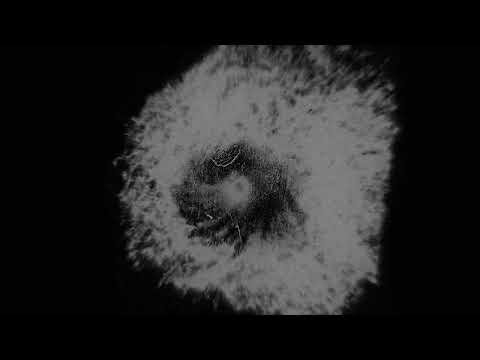 Video thumbnail for Pyre (Alarm Bells)