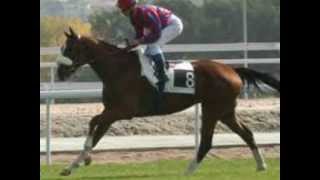 El profeta - Grupo laberinto