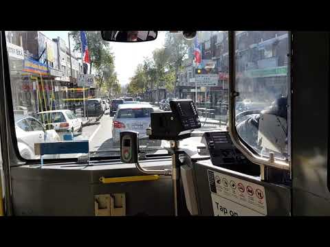 Burwood bus ride