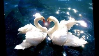 Diane Schuur - &quot;For The First Time&quot;