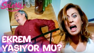 Download lagu Leyla'nın topu Ekrem'i merdivenlerden düşürdü! - Selena 6. Bölüm mp3