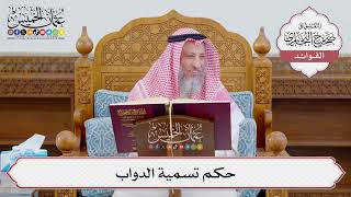 [1149] حكم تسمية الدواب - عثمان الخميس