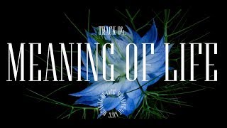 Kelly Clarkson - Meaning of Life [Album Trailer]