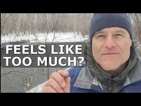 If Today Feels Overwhelming, Watch This