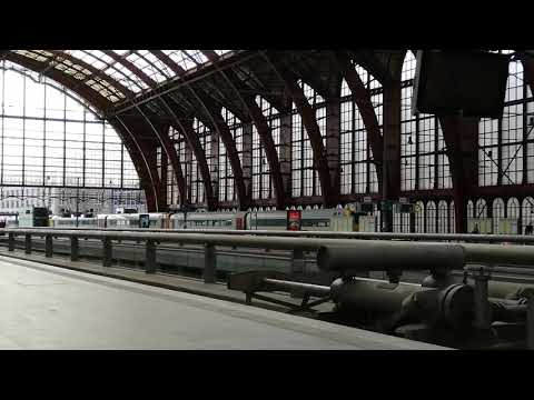 Train in Antwerpen central station