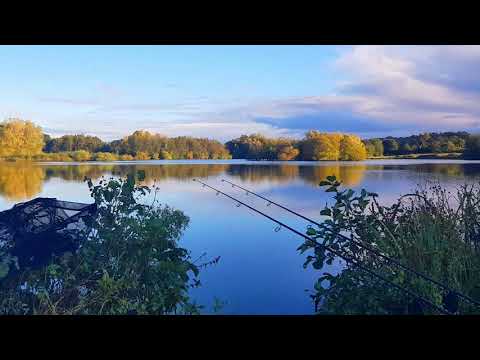 Trip 55 Carp Fishing - 2021