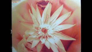 A FLG Maurepas upload - Mark Grant feat. Chezere' - Hey You (Swing The Beats Pass) - Future Jazz