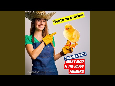Beato te pulcino