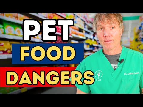 Pet Food: Is It Safe? Shocking Truths & Safe Diet Tips!