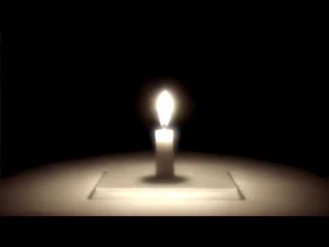 (VIDEO CLIP) CREATURES THAT COME ALIVE IN THE DARK