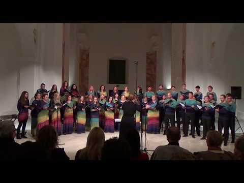 APZ Maribor — V katedrali (Tine Bec)