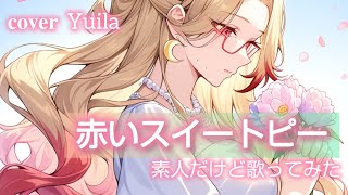 赤いスイートピー/素人だけど歌ってみた