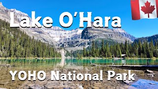 Lake O'Hara, Canada🇨🇦YOHO National Park 2024 Summer | 4K 15 minutes video