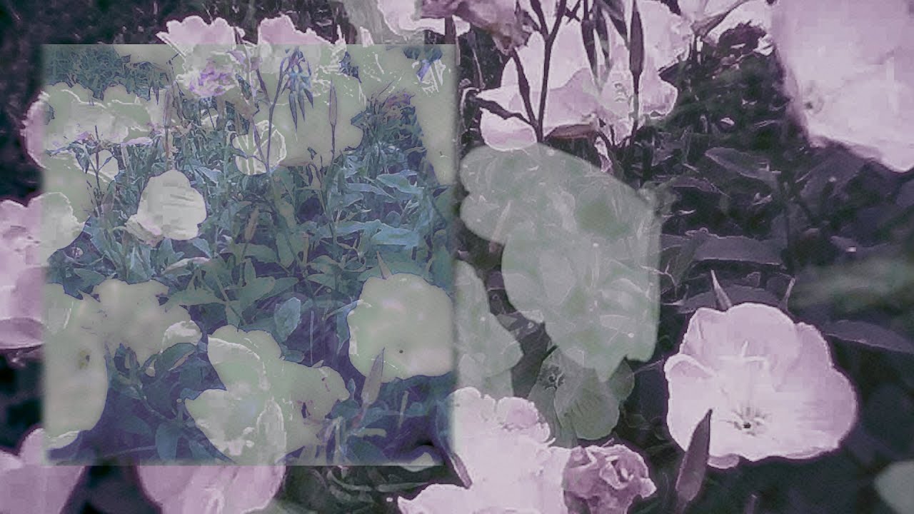 Daughter - Isolation