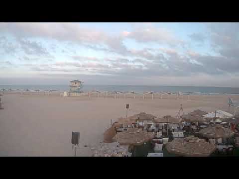 Ashdod Beech