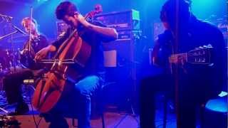 Musk Ox [Live at Petit Campus]
