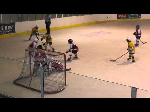 2016 01 23 hokej strakonice