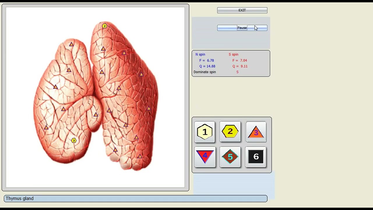 8D LRIS – Video demonstrativ