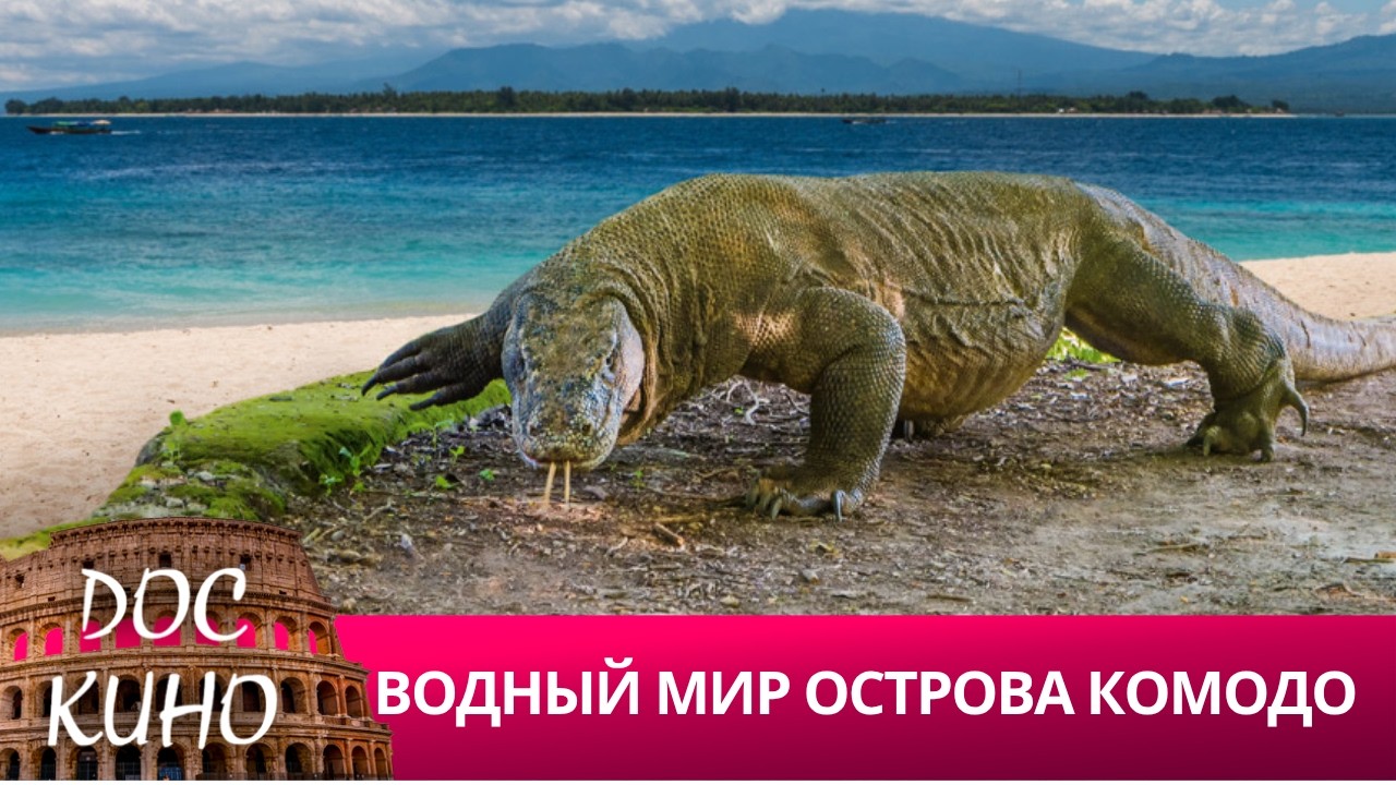 🎭ВОДНЫЙ МИР ОСТРОВА КОМОДО🌎 ДОКУМЕНТАЛЬНОЕ КИНО 🎆 2022